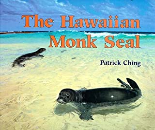 Hawaiian Monk Seal