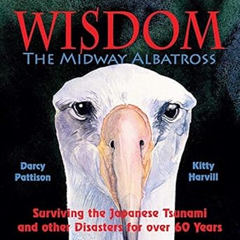 Wisdom the Midway Albatross