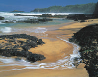 PC 12 Pack KP Lighthouse