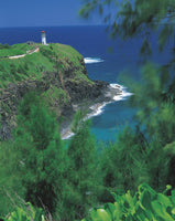 PC 12 Pack KP Lighthouse