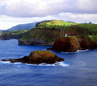 PC 12 Pack KP Lighthouse