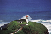 PC 12 Pack KP Lighthouse