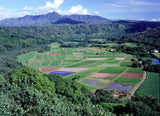 PC 12 Pack Hanalei