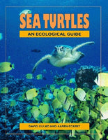 Sea Turtles: An Eco Guide