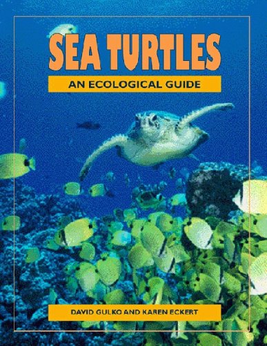 Sea Turtles: An Eco Guide