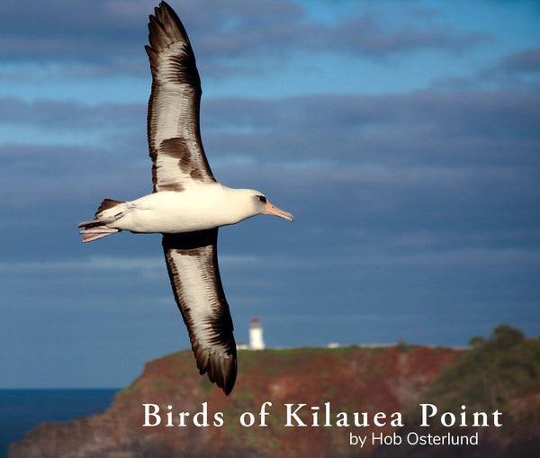 Birds of Kilauea Point