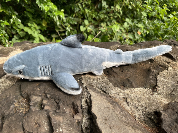 Black Tipped Shark Plush 13"