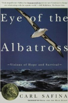 Eye of the Albatross