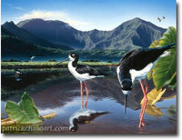 Hanalei Morning 8x10