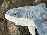 Black Tipped Shark Plush