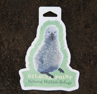 Sticker Moli Chick
