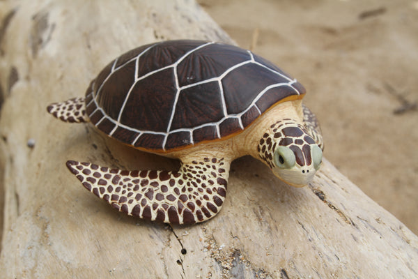 Safari Brown Sea Turtle