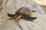 Green Sea Turtle (Brown)