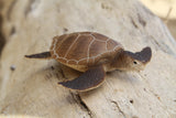 Green Sea Turtle (Brown)