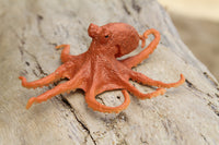 Octopus Small Orange