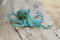 Octopus Small Teal