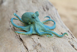 Octopus Small Teal
