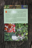 Native Hawaiian Plants