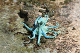 Octopus Small Teal