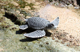 Sea Turtle Baby (Gray)