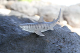 Tiger Shark Baby