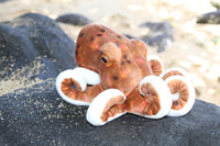 Plush Pacific Octopus