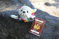 Plush Monk Seal