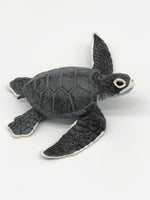 Sea Turtle Baby (Gray)