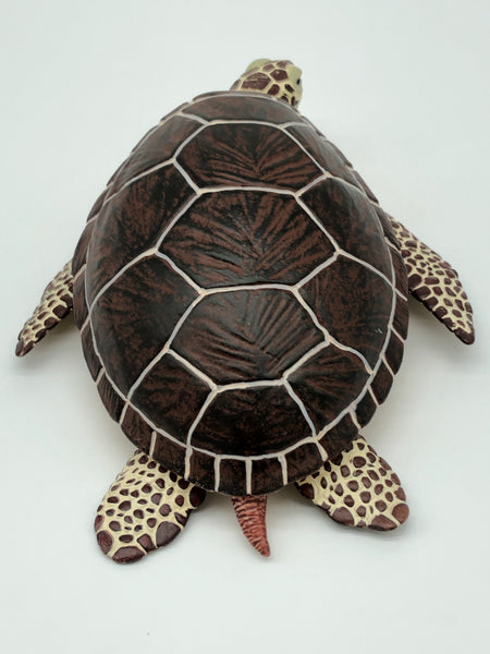 Safari Brown Sea Turtle