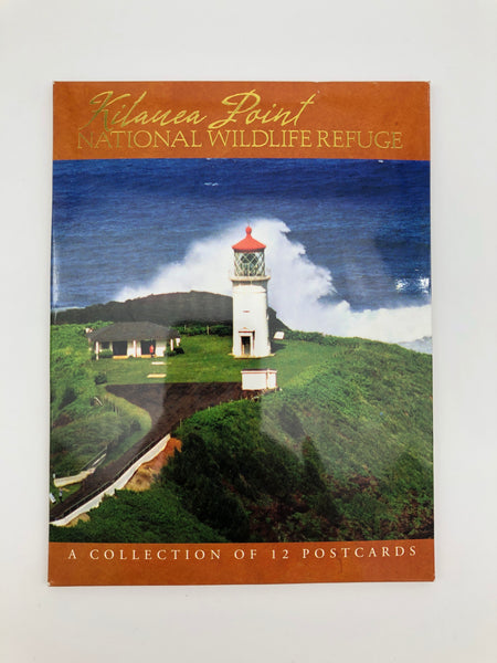 PC 12 Pack KP Lighthouse