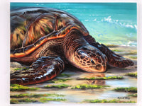 Honu Mana'o 11x14
