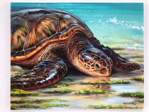 Honu Mana'o 11x14