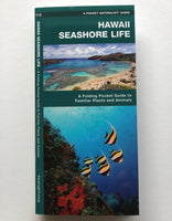 Pkt Nat Gd HI Seashore Life F-Lam