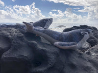 Humpback Whale Plush 13"