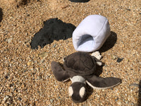 Plush Green Sea Turtle Hatchling 6"