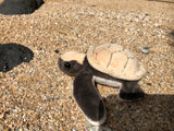 Plush Hawksbill Turtle Hatchling 6"