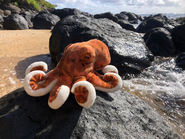 Plush Pacific Octopus