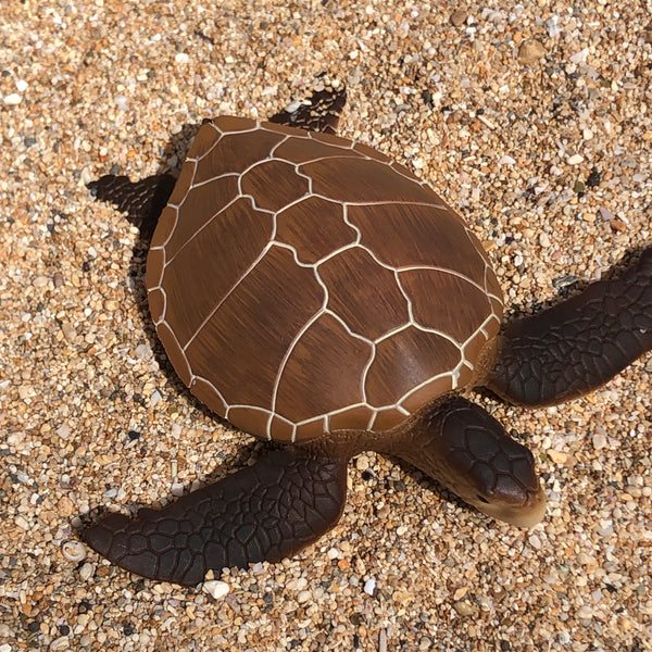Green/brown Sea Turtle