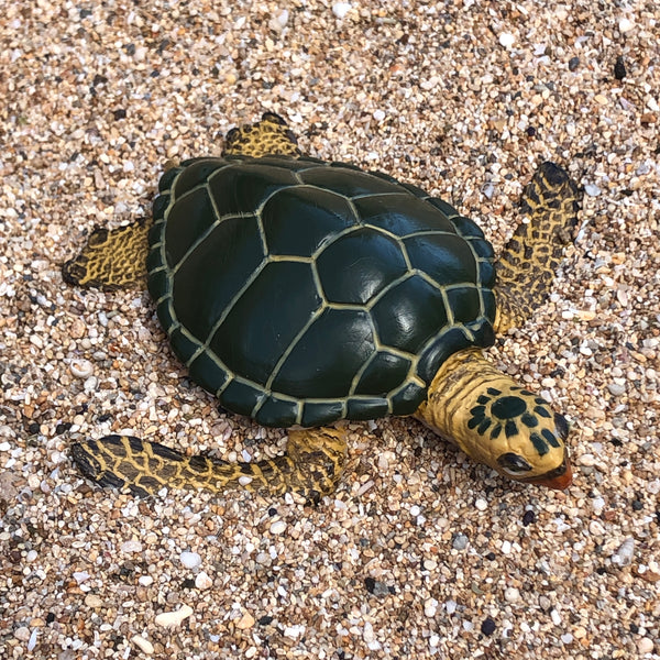 Green Sea Turtle (Green)