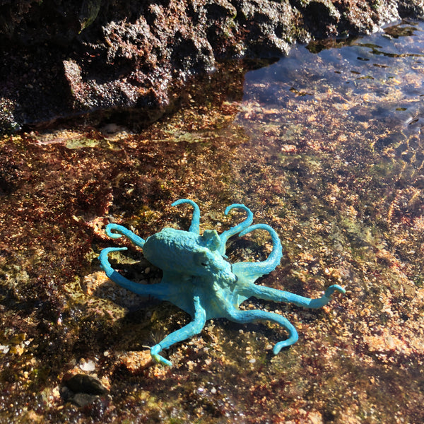 Octopus Small Teal