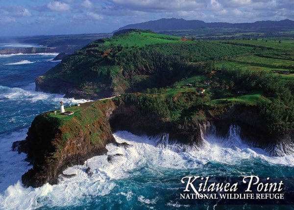 Kilauea Aerial Photo Mouse Pad