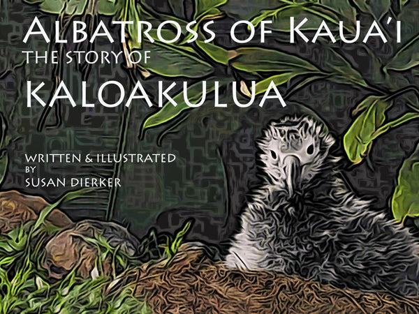 Albatross of Kauai- Kaloakulua