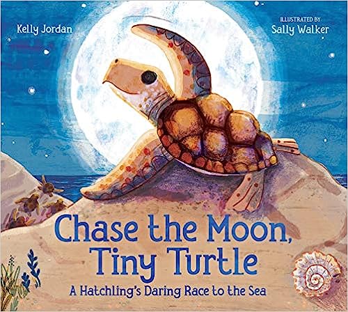 Chase the Moon Tiny Turtle