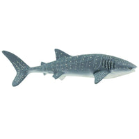 Whale Shark 7.3x2.95x2.5